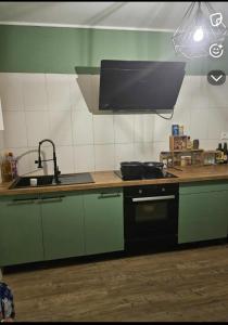 a kitchen with green cabinets and a sink and a stove at La coconing in Vierzon
