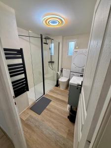 a bathroom with a shower and a toilet and a sink at La Jassette 7 in Saint-Pierre-dels-Forcats +9 photos
