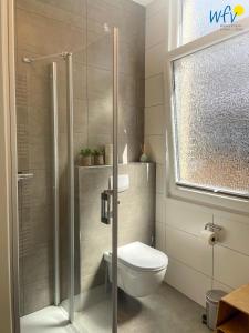 a bathroom with a toilet and a glass shower at Stine's Hus Ferienwohnung 1 in Borkum