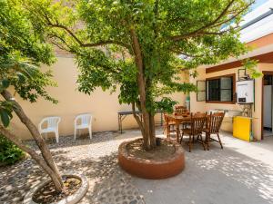 two trees in a courtyard with a table and chairs at Casa Dolores in Dolores Hidalgo