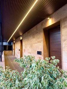 a large green plant in front of a building at Railway Studio 1 - Cozy Studio in Byblos - Central Location in Jbeil +7 photos