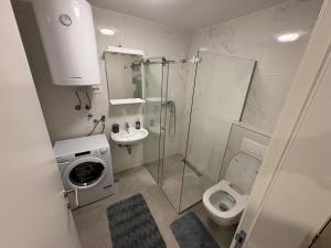 a bathroom with a shower toilet and a sink at Tesla Palace III in Kragujevac