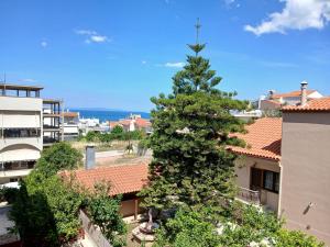 a pine tree in the middle of a city at Anelia in Nea Artaki