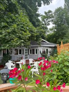 a garden with white chairs and red flowers at The Nigeen Lodge in Srinagar