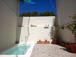 a swimming pool in a building with potted plants at La Llar de la Font in Barraca de Aguas Vivas