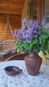 a vase filled with purple flowers sitting on a table at Cabana Luciana in Dămuc