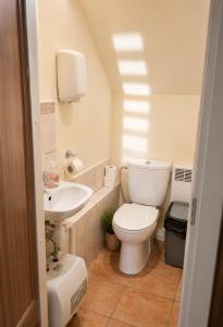 a bathroom with a white toilet and a sink at Neimaņu sēta Apartments in Augšlīgatne