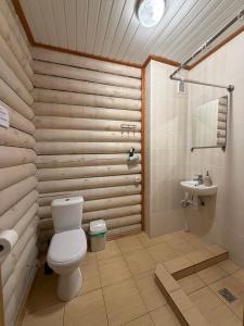 a bathroom with a toilet and a sink at Karolio Sodyba Palūšėje in Palūšė +64 photos