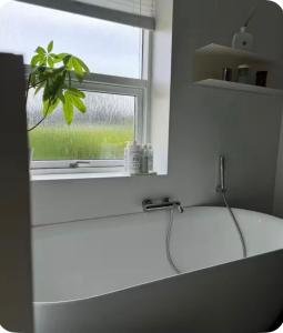 a bathroom with a sink and a window with a plant at Cozy house in Hasseris in Aalborg +7 photos