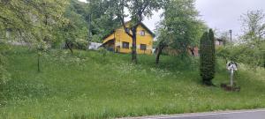 a yellow house on the side of a grassy hill at Вікенд WeekEnd in Kvasy