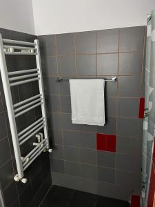 a bathroom with a towel rack and a shower at The Lighthouse Suite in Mamaia Sat/Năvodari