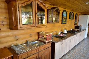 a kitchen with a sink and wooden walls at Елізабет 1 in Svityazʼ