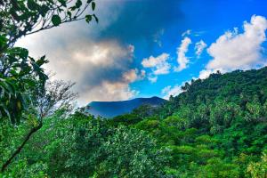 a view of a mountain with trees and a blue sky at Yasur Adventure Tree house in Isangel