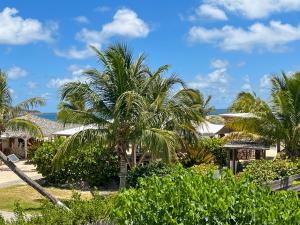 a group of palm trees in front of a house at Duplex La Plage Orient Bay in Orient Bay