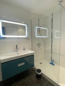 a bathroom with a sink and a shower at LE BRIDGE in Bénouville +11 photos