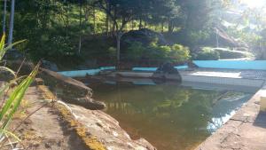 ein Wasserbecken in einem Garten mit Bäumen in der Unterkunft Camping 4m in Aiuruoca