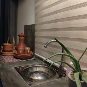 a kitchen sink with a pot and a plant at Casa Cayena - Tangalle in Tangalle +41 photos