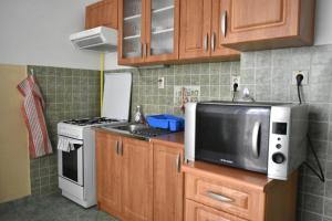 a small kitchen with a microwave and a sink at Villa Paris in Piešťany