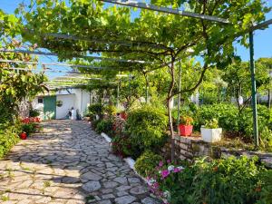 a garden path with flowers and a pergola at Shtepi Manuel in Sarandë