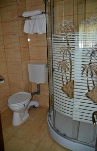 a bathroom with a toilet and a glass shower at Hotel Stogu in Băile Olăneşti