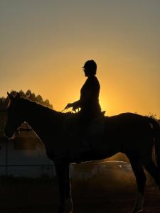 a person riding a horse at sunset at Haras Cristal Experience in Gama +23 photos