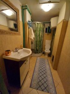 a bathroom with a sink and a shower and a toilet at Casa La Casiru 17 nature in Straja +124 photos