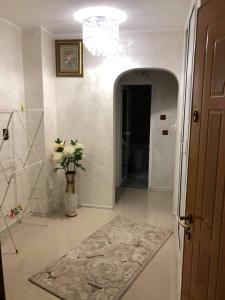 a hallway with a door and a vase with a plant at AmiraHome in Galaţi