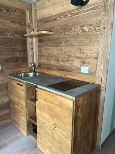 a kitchen with a sink and wooden walls at La Crevasse Morgex in Morgex +15 photos