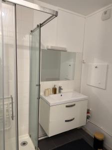 a white bathroom with a sink and a shower at Chambre privative Paris 13e in Paris