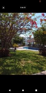 a park with a tree and a bench in the grass at Vacation home with lake access and pool in Tequesquitengo