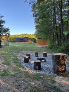 a group of tree stumps in a circle of gravel at Tinyhouse Na Zemi in Žďár nad Sázavou