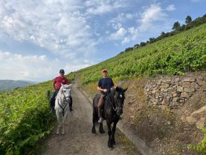 two people riding horses on a dirt road at Quinta do Valdalágea in Peso da Régua
