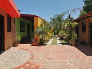 a courtyard of a house with palm trees and plants at Hotel Sicarú in Chapulco