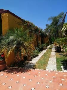 a garden with palm trees and a building at Hotel Sicarú in Chapulco +30 photos