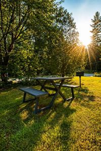 a picnic table sitting in the grass in a park at The Aurora Inn & Cottages in Bartlett