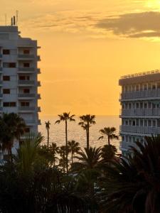 a building and palm trees in front of the ocean at Cactus Apartment in Playa Fañabe