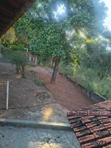 a tree in the middle of a yard with bricks at Pousada Cantinho e Sossego casa 5 in Vespasiano +5 photos
