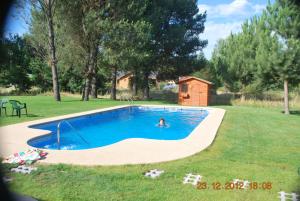 a person swimming in a swimming pool in a yard at Mi Paraiso in Quillón