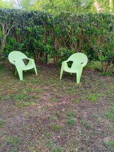 two green chairs sitting in the grass next to a bush at Le Cocon Litois in Lit-et-Mixe +2 photos