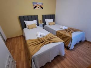 a room with two beds in a room at Os Robalos in Moura +22 photos