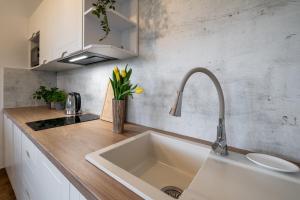 a kitchen with a sink and a counter top at Biała Owca in Biały Dunajec +26 photos