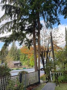 a fence in front of a house with a tree at Cozy EnSuite No Pets Allowed in Burnaby