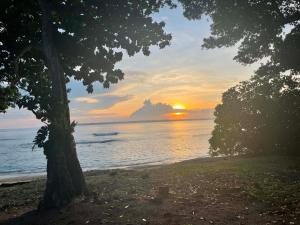 a tree on the beach with a sunset in the background at Helt Vanua Lodge in Saraotou