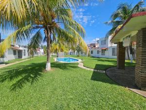 a yard with a palm tree and a swimming pool at Alojamiento La Vista in Barrio Nuevo