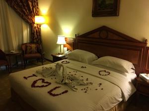Voodi või voodid majutusasutuse Serenada Golden Palace - Boutique Hotel toas