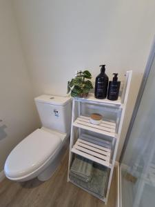 a bathroom with a white toilet and a shelf at Monarch Park Studio in Cambridge