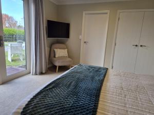 a bedroom with a bed and a television and a chair at Monarch Park Studio in Cambridge
