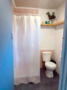 a bathroom with a toilet and a shower curtain at Ola in Puchuncaví