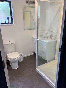 a bathroom with a toilet and a sink and a shower at Private and comfortable guesthouse in Christchurch +20 photos