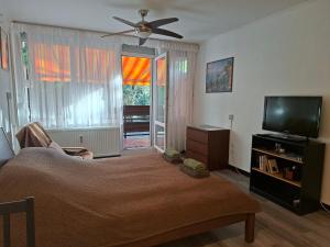 a bedroom with a bed and a flat screen tv at Üdülő in Gárdony